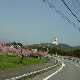 ほら、助手席に乗りなよの画像