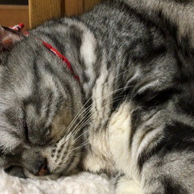 Feb.2.2016の画像