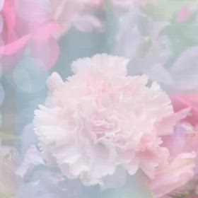 いつまでその痛みを我慢するの？生理痛やPMSはないのがあたりまえだよの画像