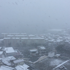 雪ですの画像