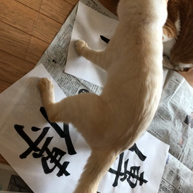 最悪な状況に…の画像