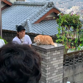 CM撮影メイキングの画像