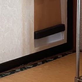 おとーしゃんがリオ用ドアを作ってくれたにゃよ♪の画像