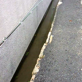 最近はの画像