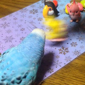テンション高いそらの画像