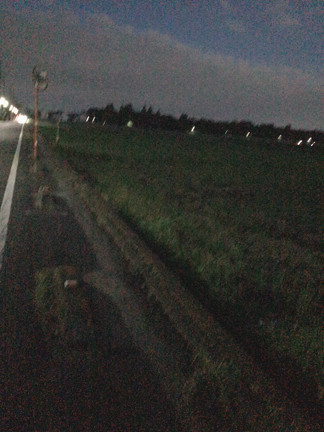 有意義な時間をありがとう！の記事動画