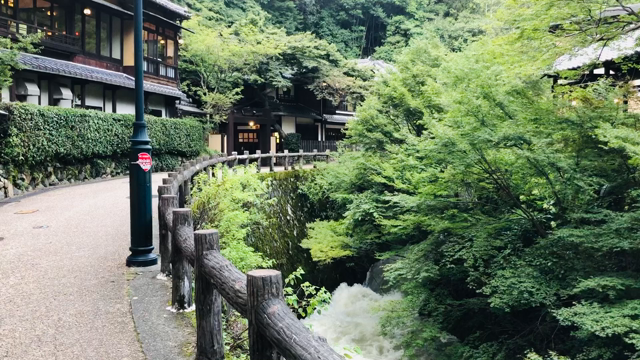 雨とコロナのお盆　お墓参りの記事動画