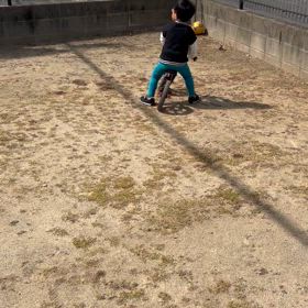 次男坊、ストライダー！の画像
