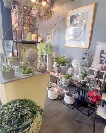 訪れた花屋は、【花屋じゃなくて、フラワーコーディネートショップだった】の記事動画