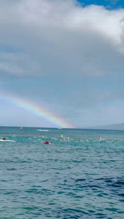 Open Water Swimming 　オープンウォーターの記事動画