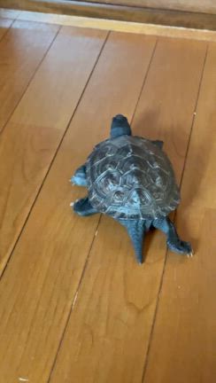よーしっっっっ！扉あけるぞー！の記事動画