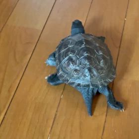 よーしっっっっ！扉あけるぞー！の画像
