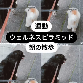 2023/07/05の画像