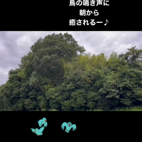2023/07/05の画像