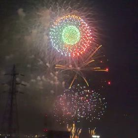 わんこと一緒に花火大会の画像