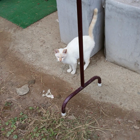 どんなところに惹かれた？の画像