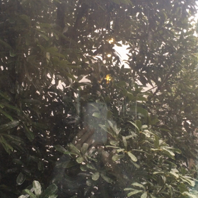 家の中の過ごし方　雪の画像