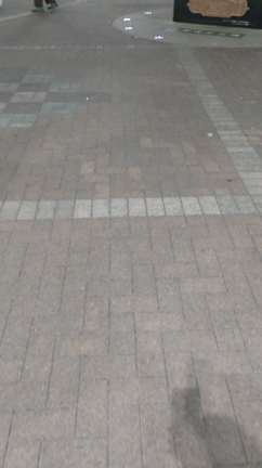 2023年11月1日に宝塚に行ってきましたの記事動画