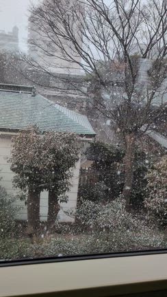 数十年に一度の雪が降るなか、衆議院選挙の投票をしてきましたの記事動画