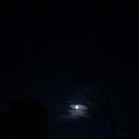 月夜の画像