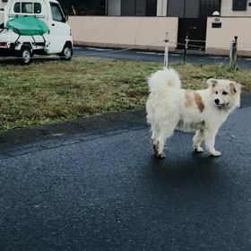 独り言笑の画像