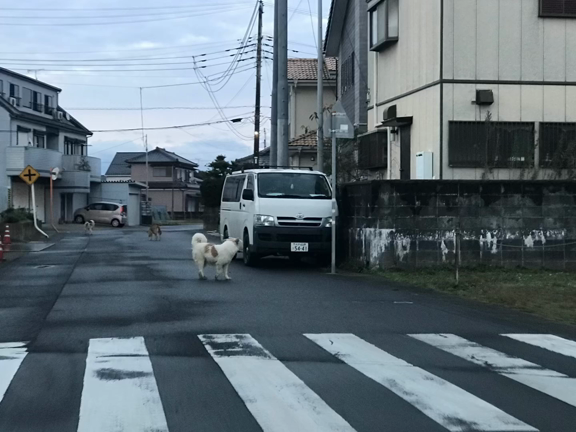 sekizawaseisakushoの記事動画