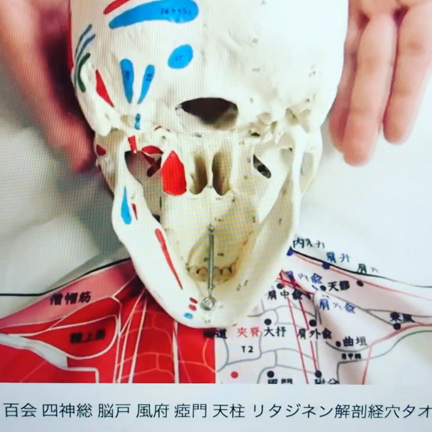 【コロナ疲れにおすすめ】ヘッドマッサージのツボの記事動画