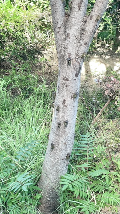 不調でも落ち着いていると感じられる日々の記事動画