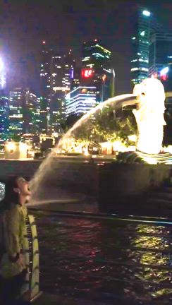 シンガポールの思い出 マーライオン編の記事動画