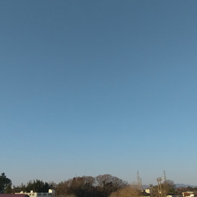 春のおすそ分けの画像