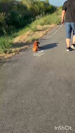 我が家のシルバーウィークの記事動画