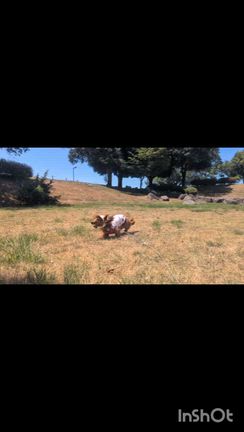 夏のお出かけの記事動画