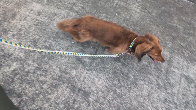 地震…の記事動画