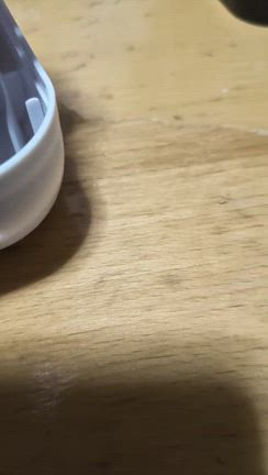 マイクロペットの記事動画