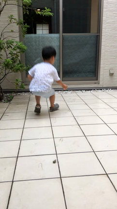 年長さん  探求学習のきっかけに？！の記事動画