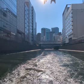 鯉のぼり泳ぐ神田川の画像
