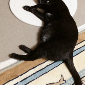 ぼくのおかあさんの画像