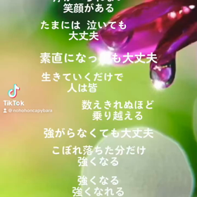 あの夏の画像
