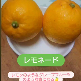 2021/02/25の画像