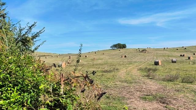 ■66 最終地のローマへ向います。の記事動画