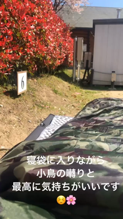直感を信じての記事動画