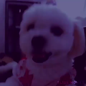 願いを込めての画像