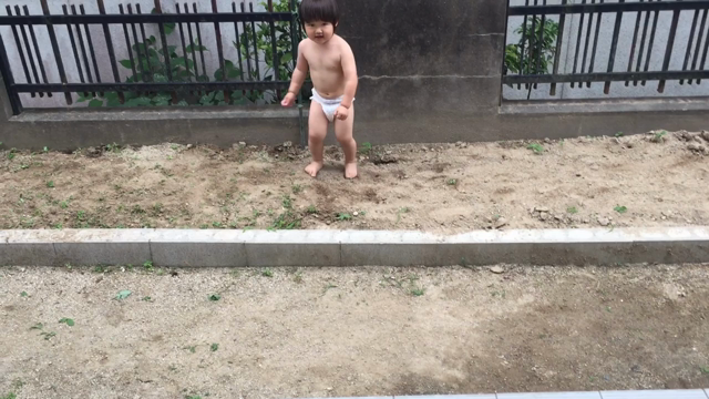 謎の遊びの記事動画