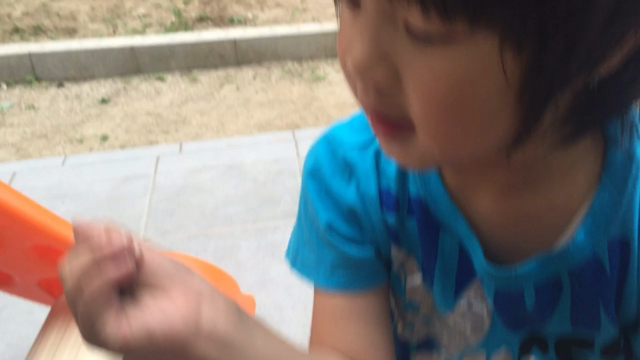 カマキリの赤ちゃん！の記事動画
