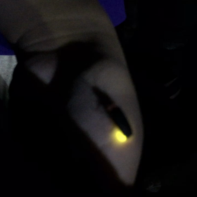 ホタルを見に行きました！の画像