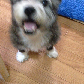 究極の癒し。の画像