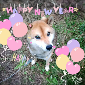 明けましておめでとうございますの画像