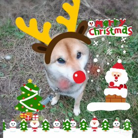 メリークリスマスの画像