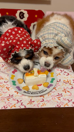 happy birthday リアン９歳の記事動画