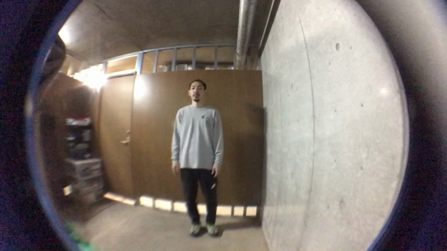 日々撮影の記事動画